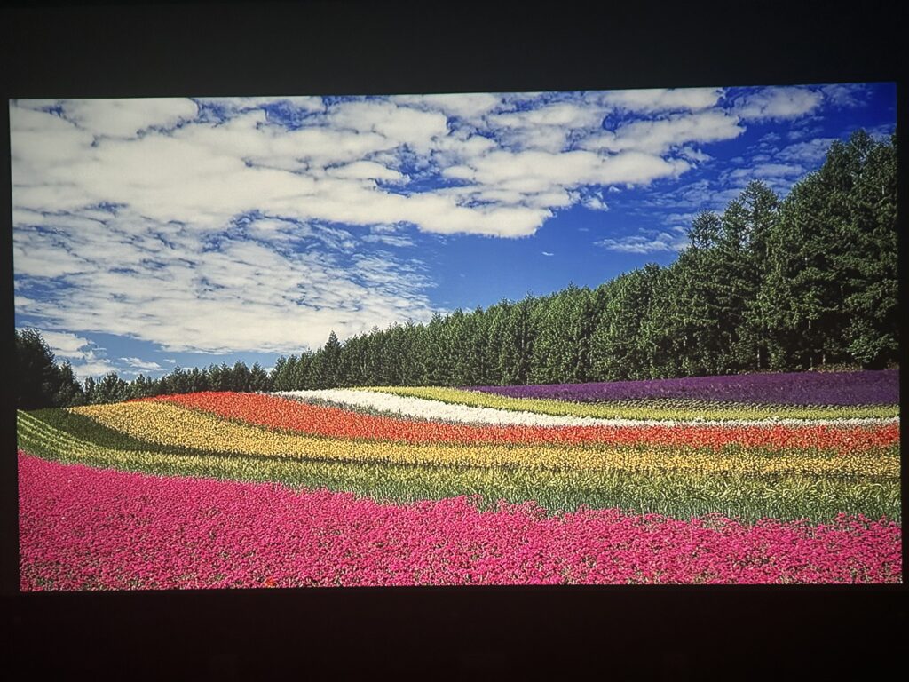 GV30で映す花畑の映像