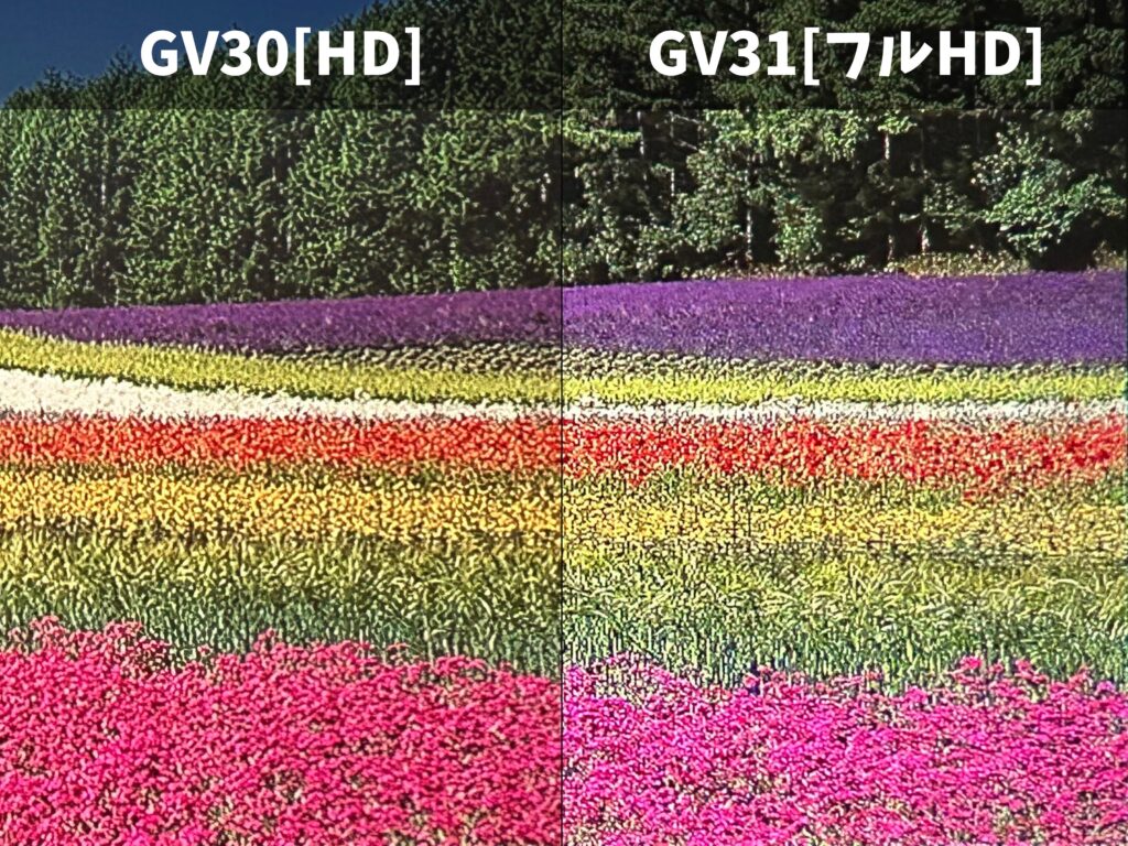 GV31とgv30の花畑の映像比較