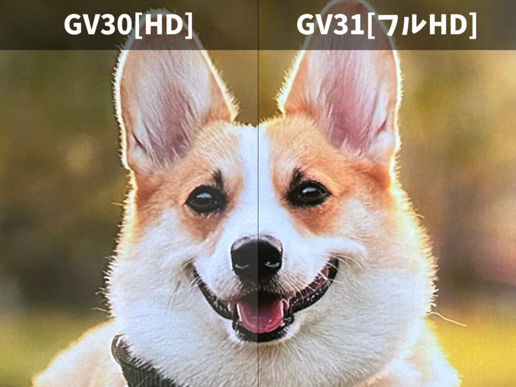 gv30とGV31の画質比較