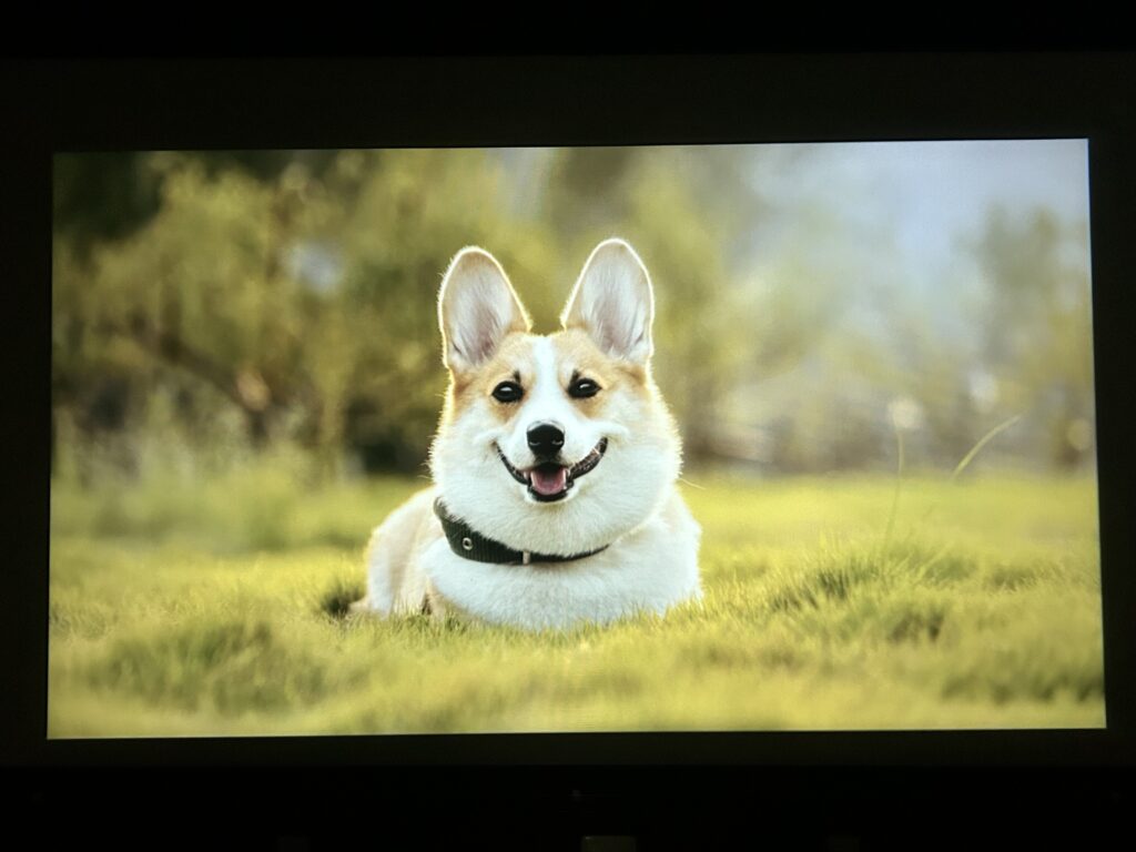 格安機の映像
