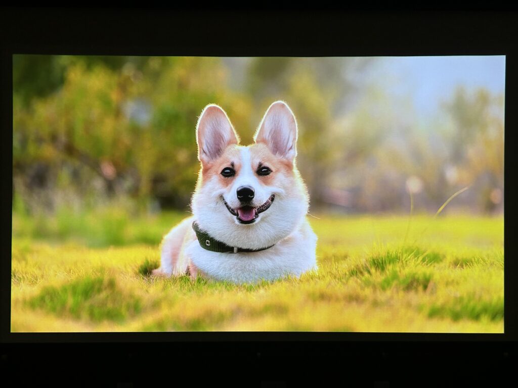 Freedoの映像