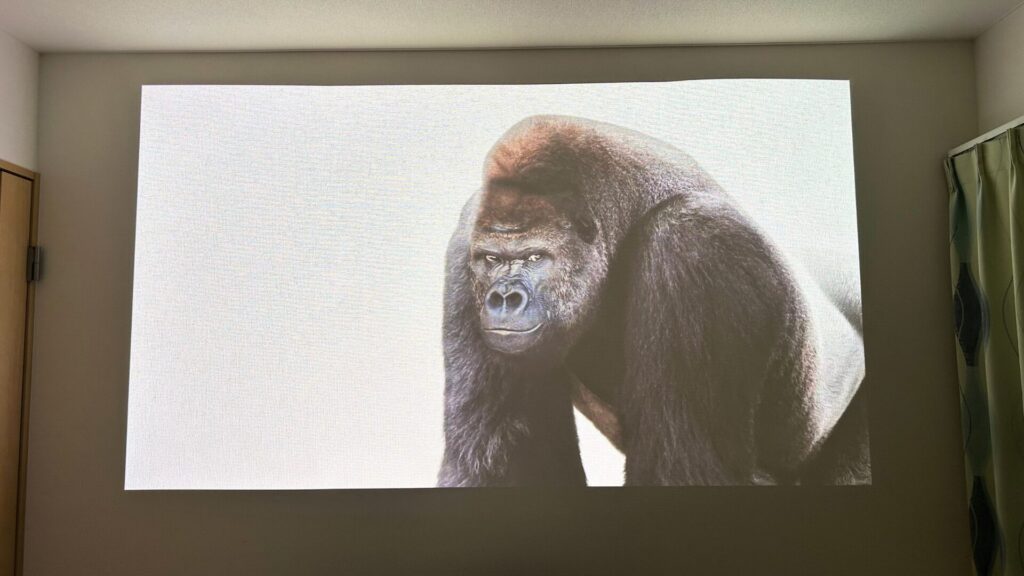 等身大動物図鑑