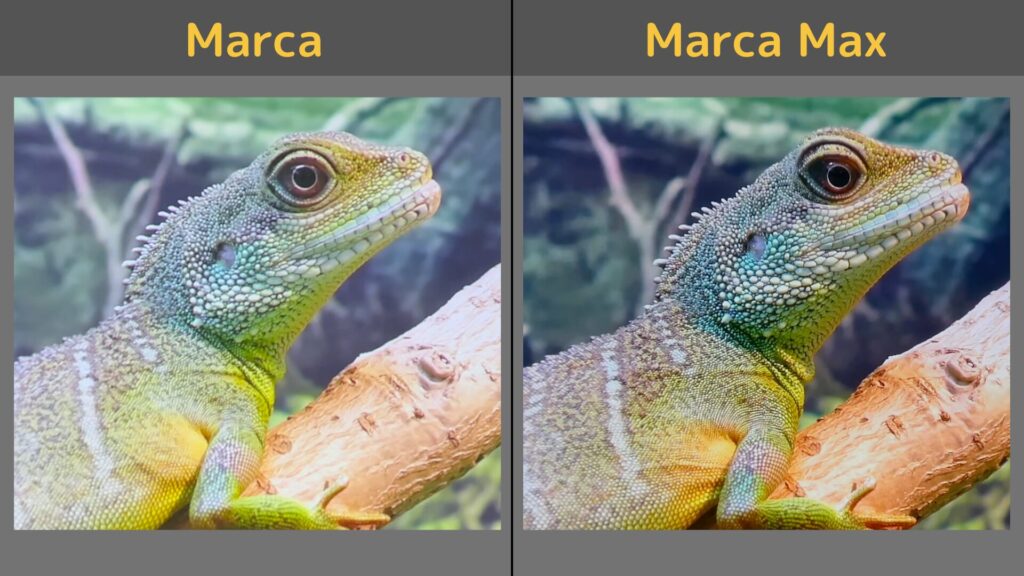 MarcaとMarca Maxの比較