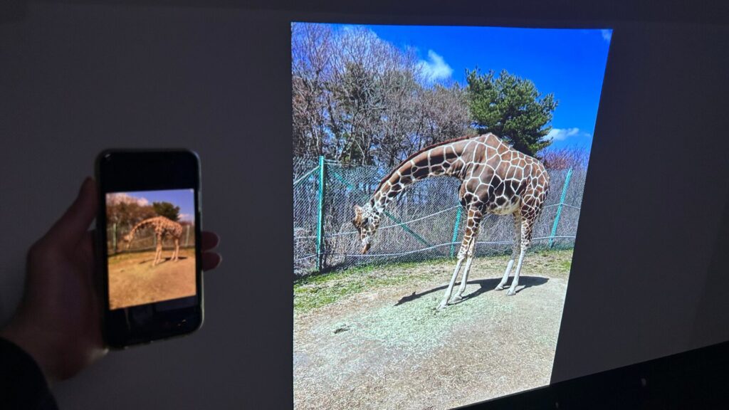 HORIZON Proでスマホミラーリング