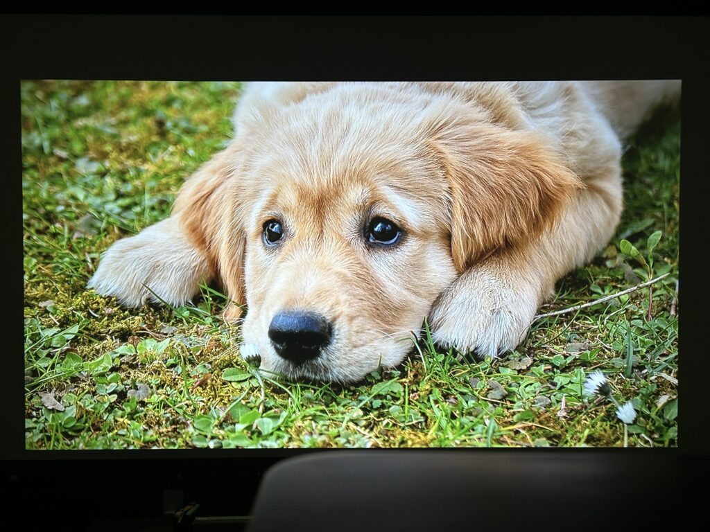 X9で投影した100インチの映像