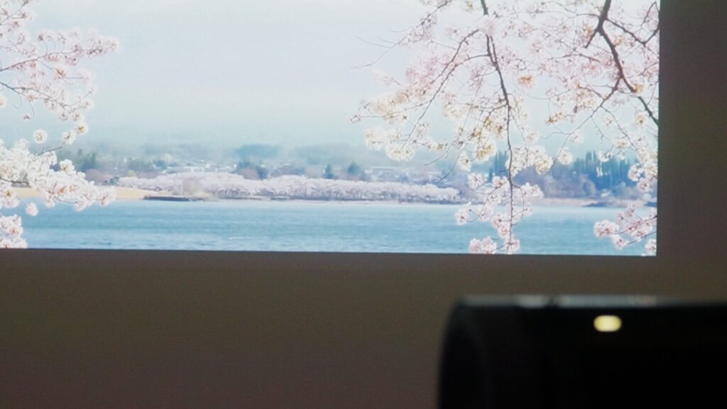 PicoPlay+の映像