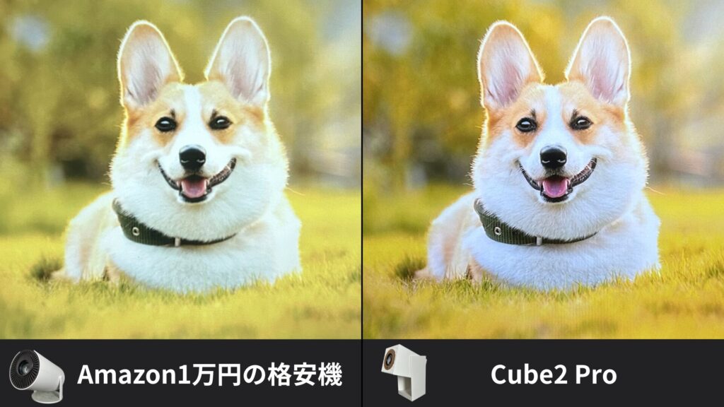 Amazon1万円の機種と比較