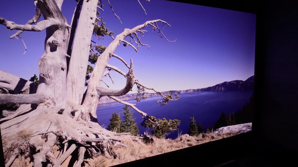 VisionMaster Maxの映像を近くで見る