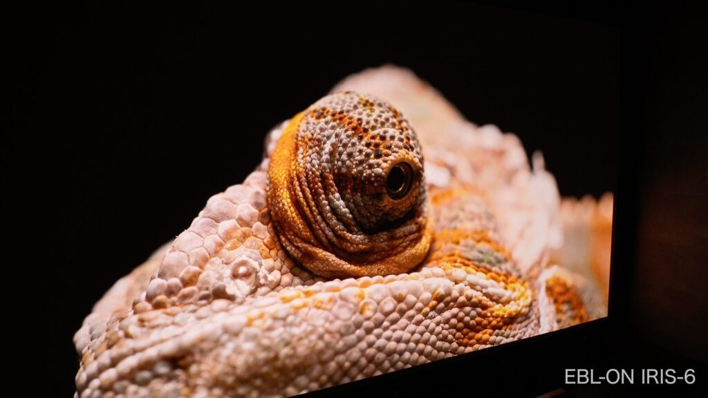 VisionMaster Maxの黒表現