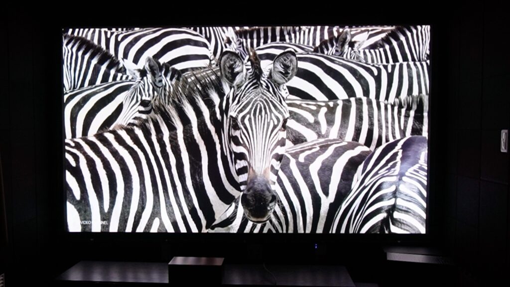 明光対策後（ホワイト）