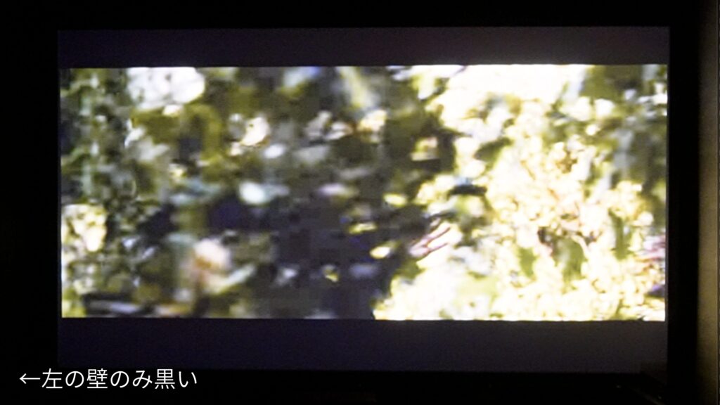 半分だけ迷光対策した映像