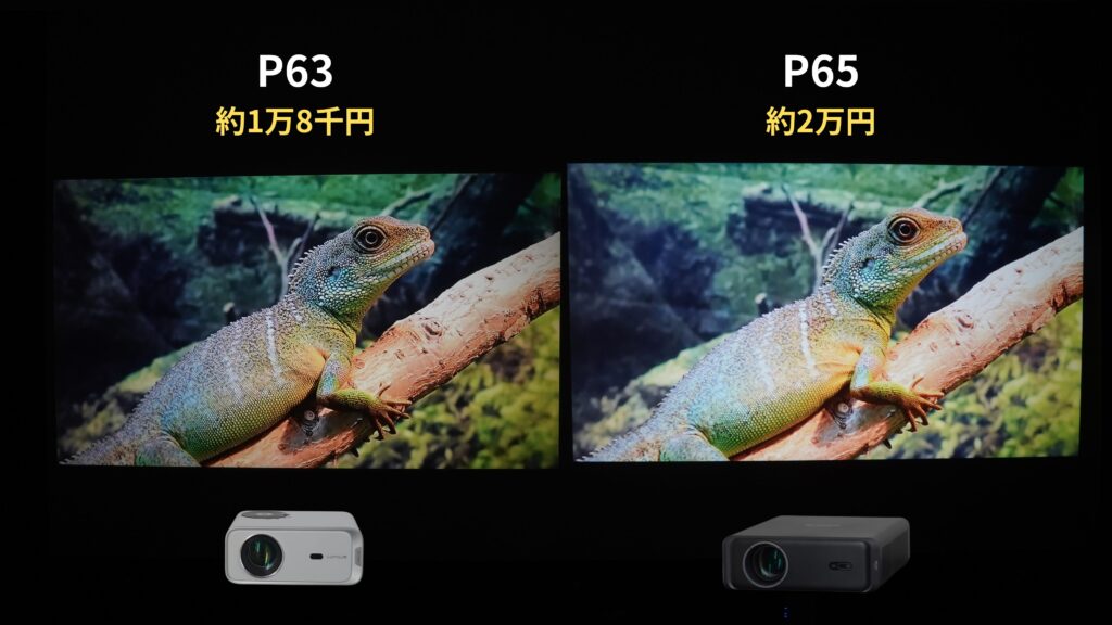 P63と比較
